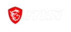 MSI
